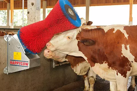 Kerbl Brosse à vaches HAPPYCOW Uno, brosses PA