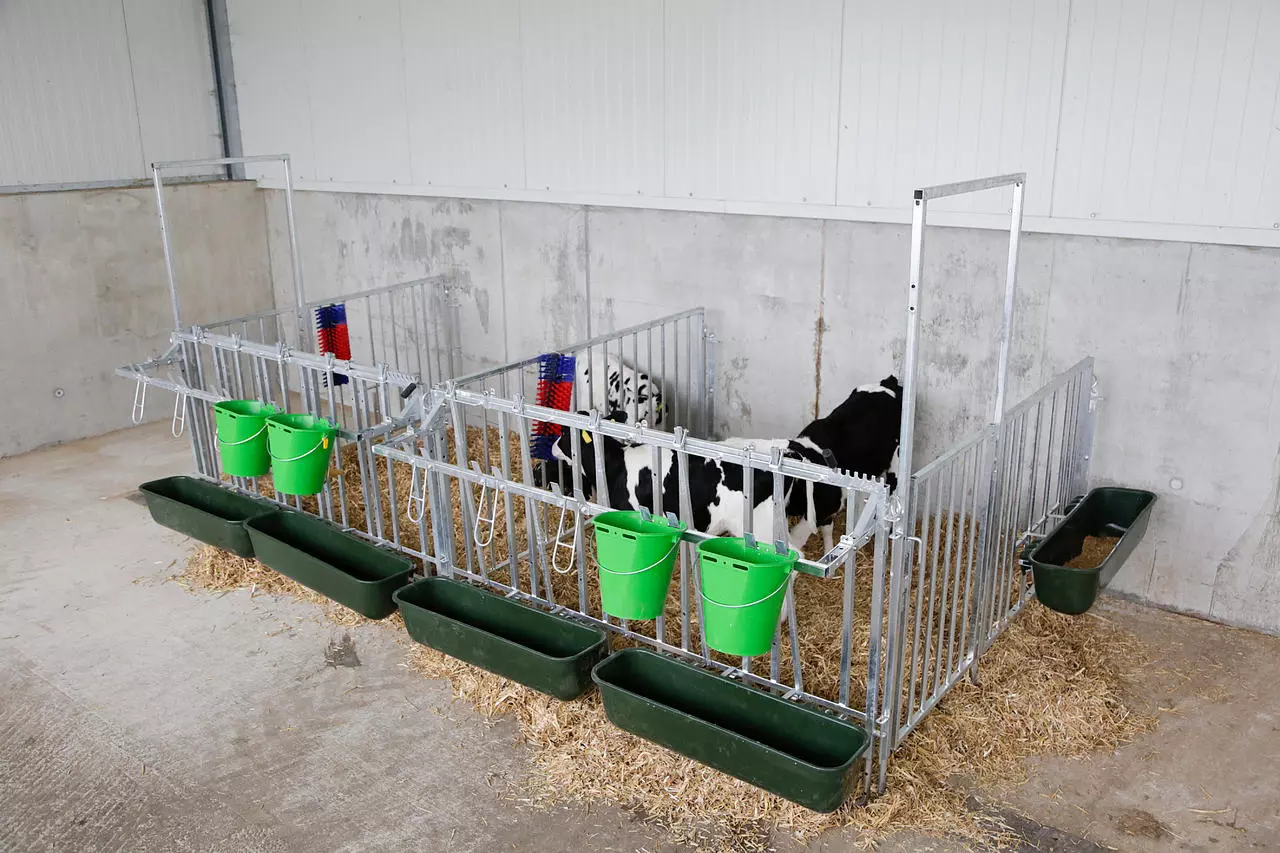 Kerbl Set double pour enclos modulaire