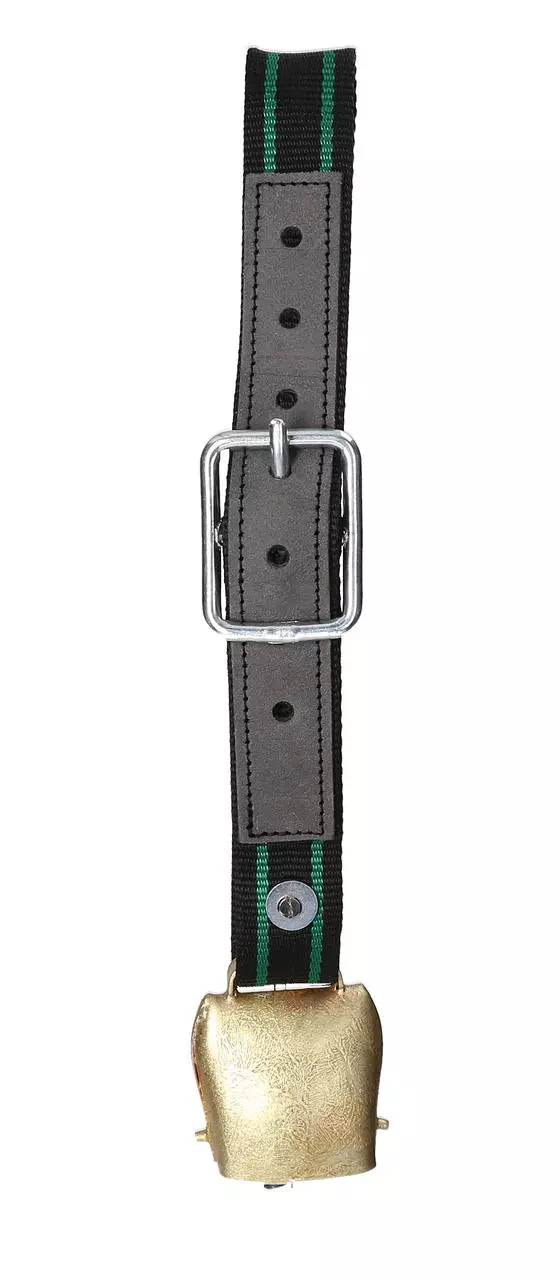 Clochette plate avec collier synthétique - diff. tailles Clochette plate avec collier synthétique - diff. tailles