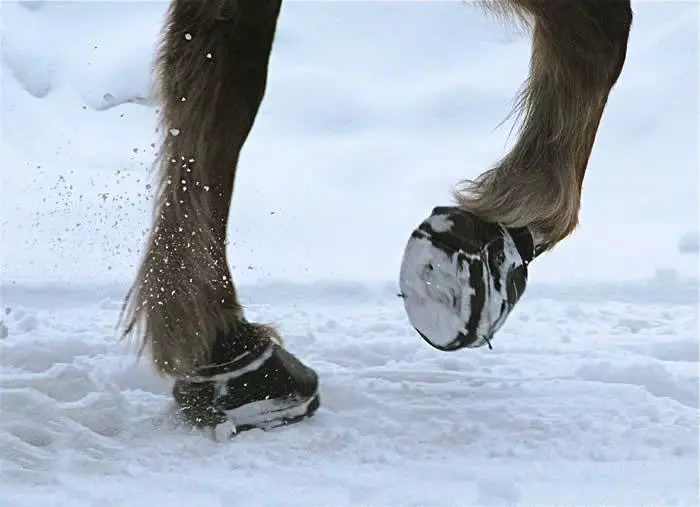 Cavallo Hipposandale modèle simple