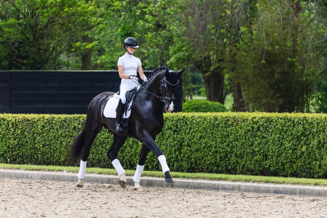 LeMieux Tapis de selle Square Dressage en suédine