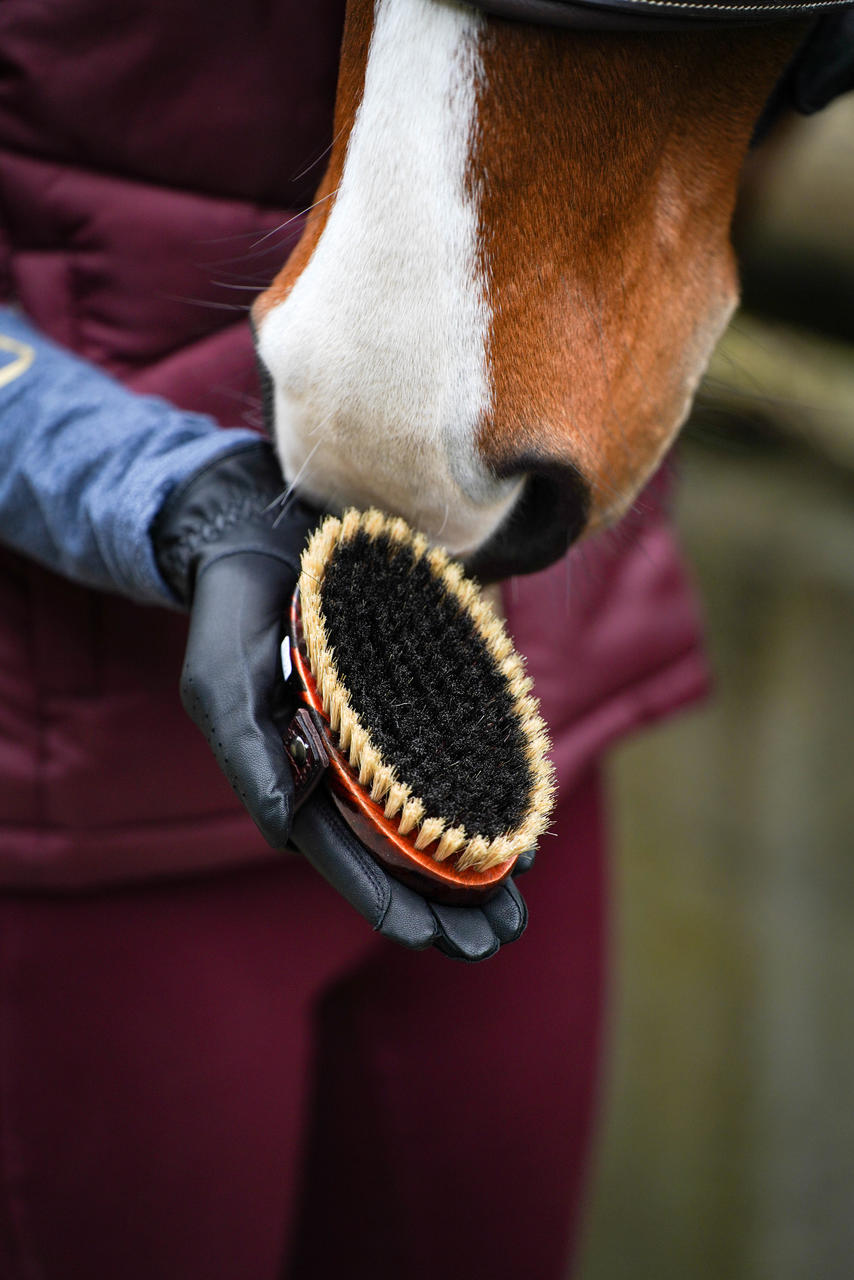 Leistner Brosse pour tête de cheval 134 x 67 mm