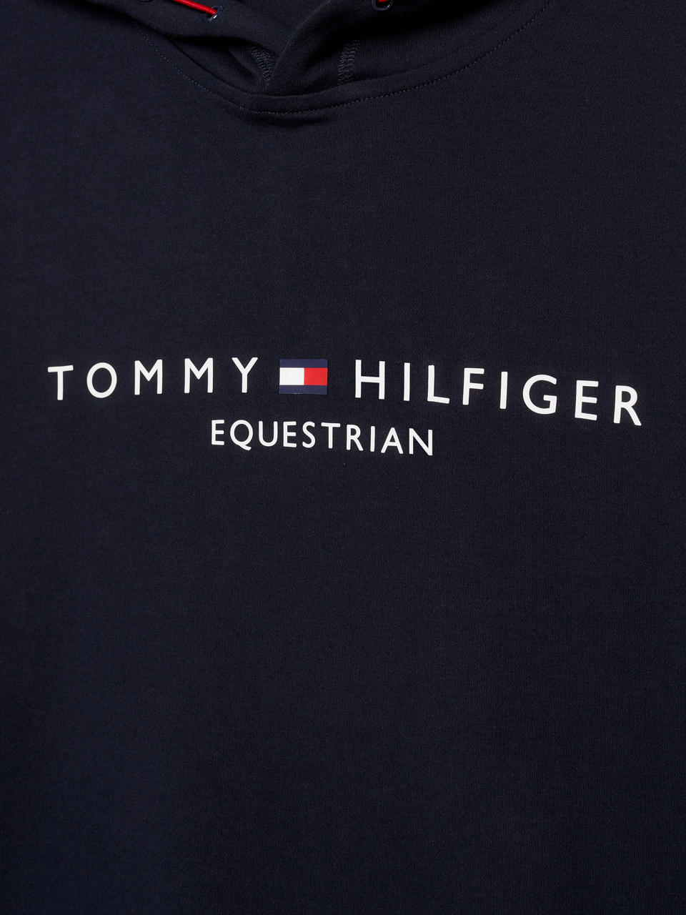 Tommy Hilfiger Hoodie graphique Williamsburg