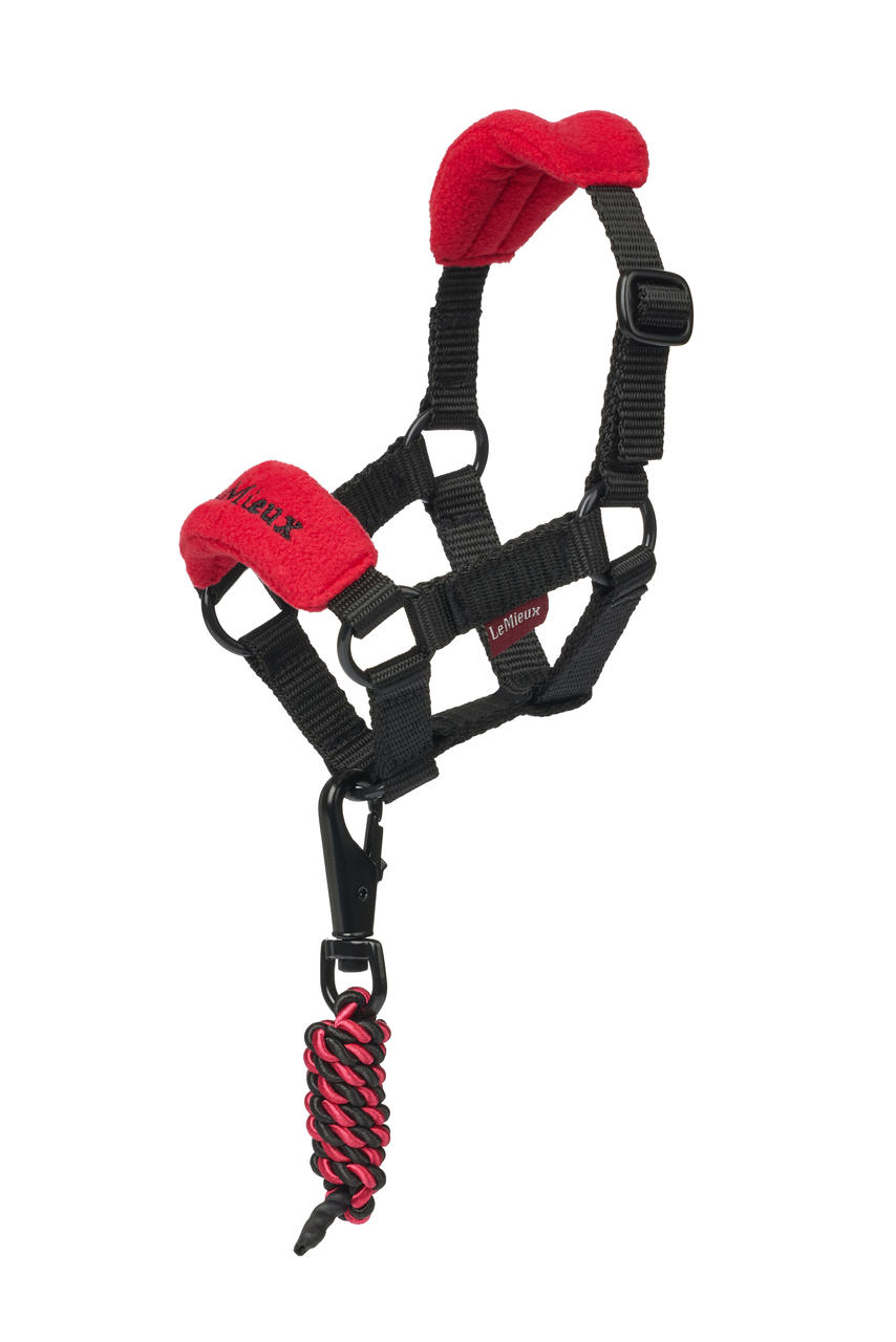 LeMieux Bonnet anti-mouches Toy Pony