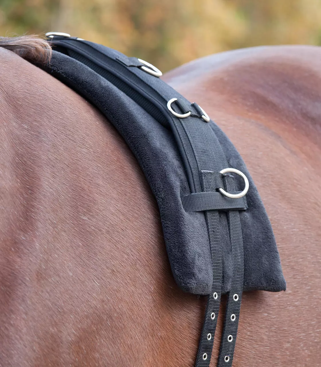 Waldhausen Pad de Surfaix en mousse à mémoire de forme