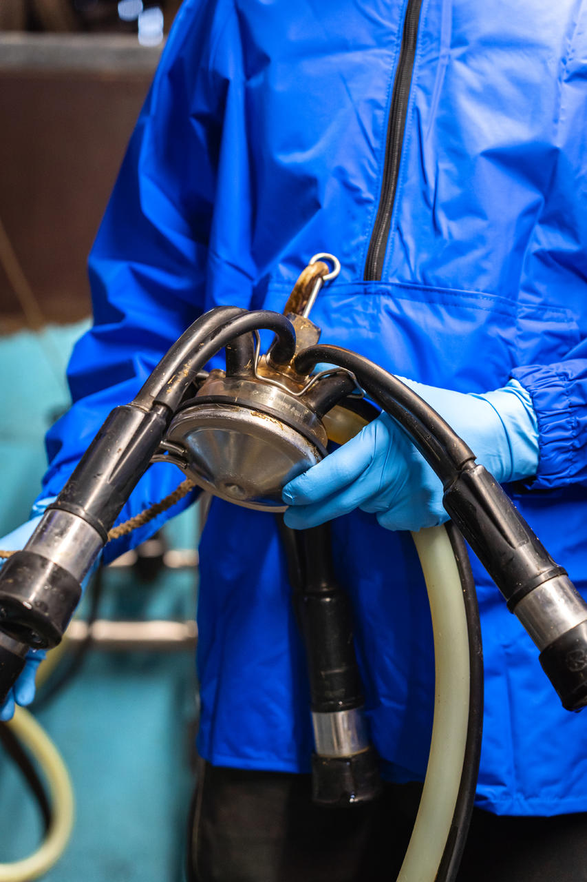 WAHL-Hausmarke Gants à usage unique Nitrile Top