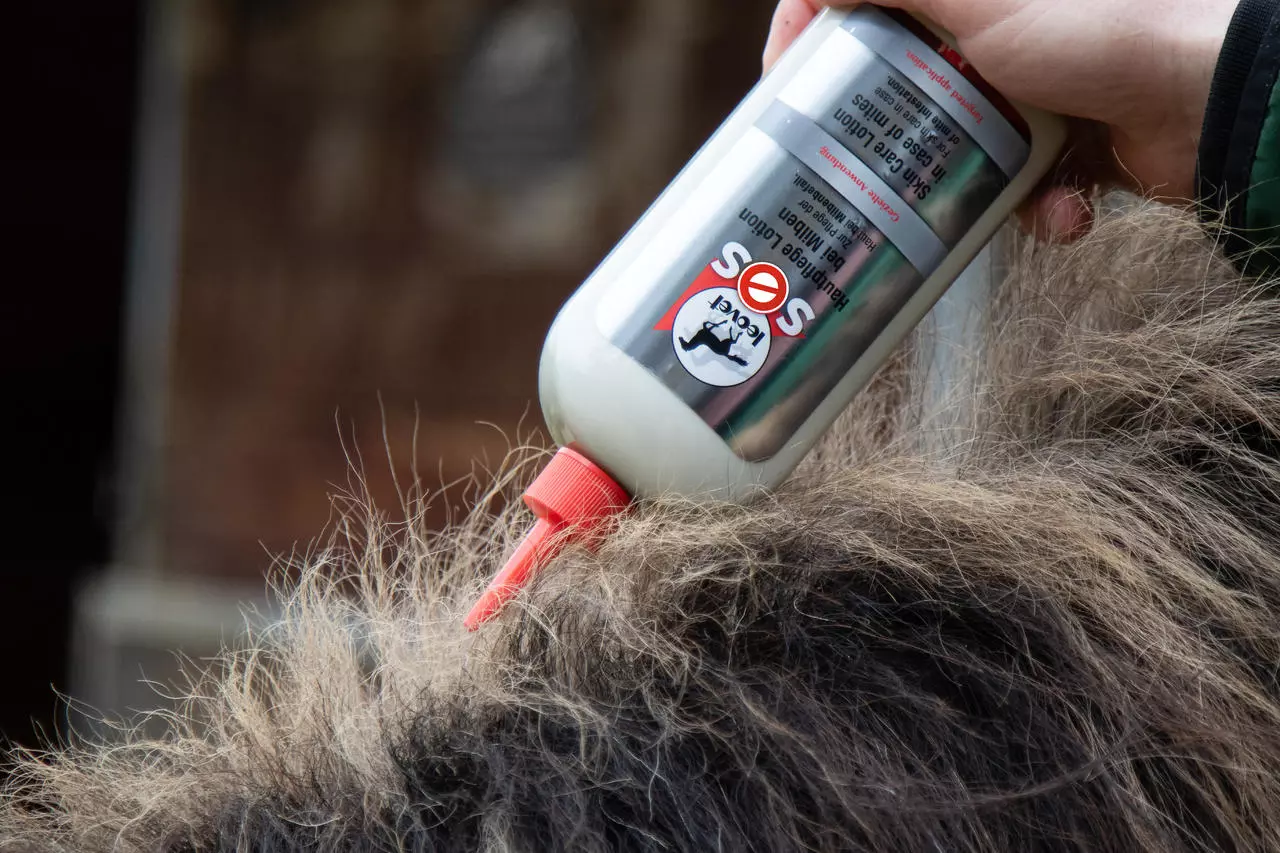 leovet Lotion SOS Soin de la peau