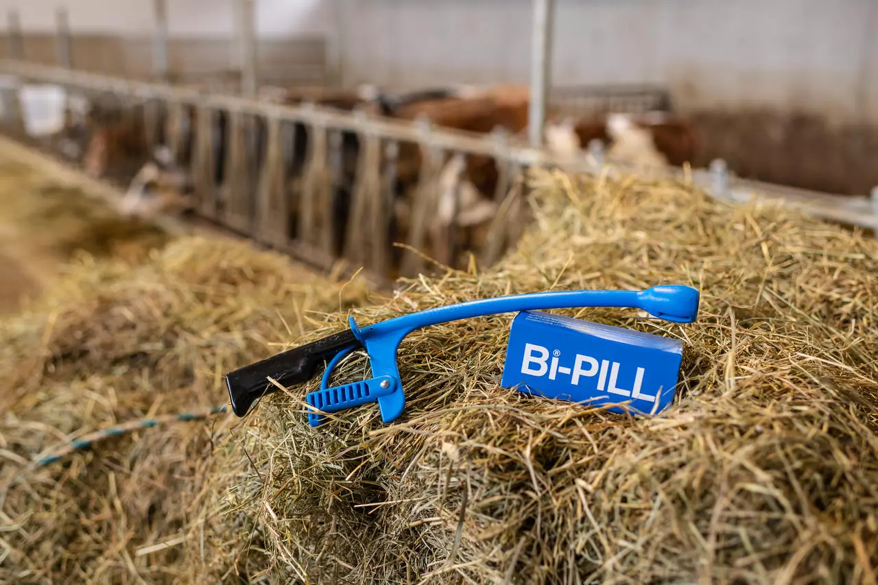 Vuxxx BI-PILL - Boîte de 20 pilules de 9 g