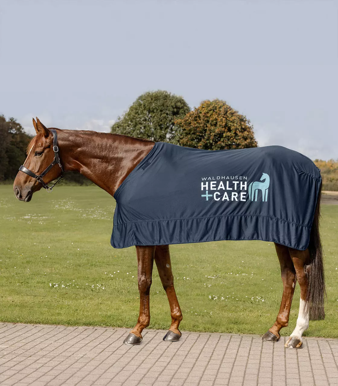 Waldhausen Health + Care Couverture Ice Layer W-Health & Care