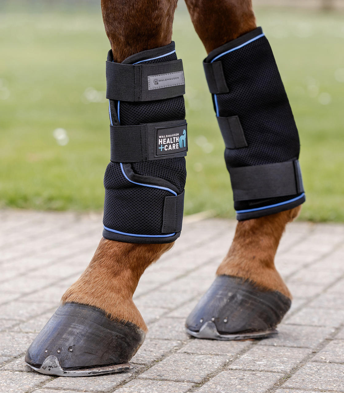Waldhausen Health & Care Guêtres Ice-Layer, par paire