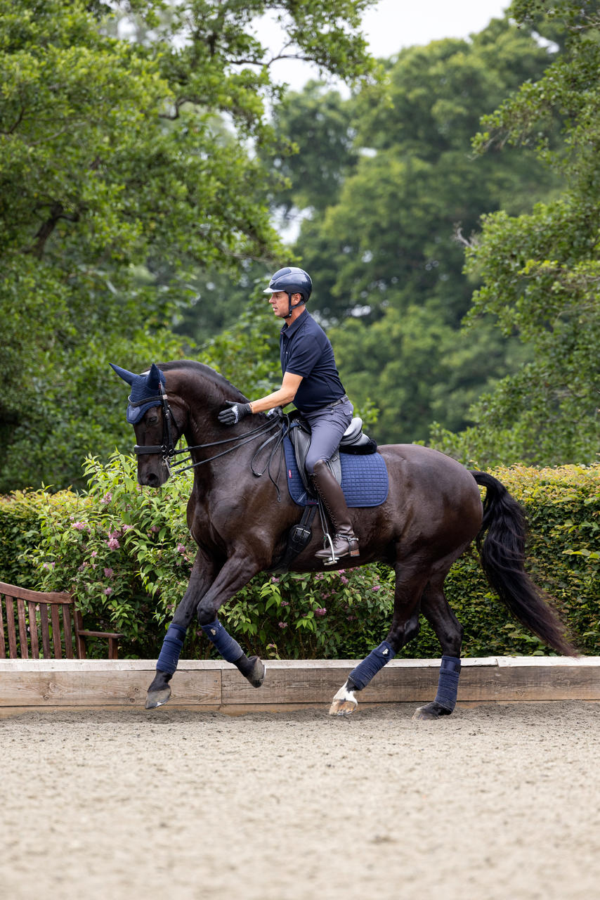 LeMieux Tapis de selle Square Dressage en suédine