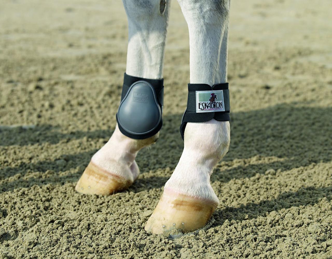 Eskadron Coques de protection anti-frottement pour chevaux de grande taille
