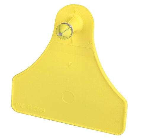 Caisley Boucle d'oreille FLEXOPLUS F 25 pièces