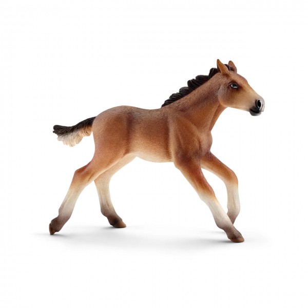 Schleich Poulain Mustang