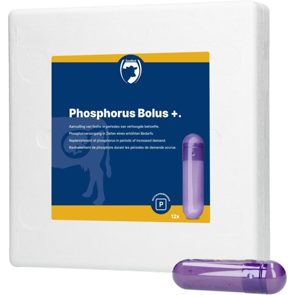 Holland Animal Care FOSFOR BOLUS+, 12 bolus de 42 g Holland Animal Care FOSFOR BOLUS+, 12 bolus de 42 g