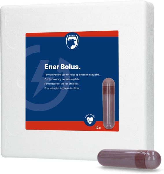 Holland Animal Care BOLUS ENER HAC 12 pièces de 70 g Holland Animal Care BOLUS ENER HAC 12 pièces de 70 g