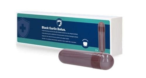 Holland Animal Care Black Garlic Bolus - 4 unités (de 48 g)